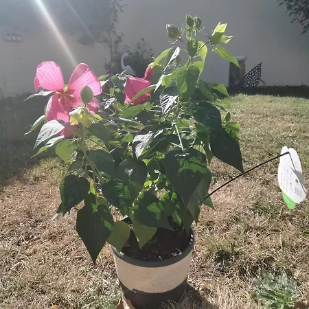 Les Hunaudieres 4 - 4 Lits Doubles Teloché