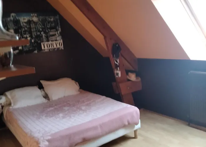 Les Hunaudieres 4 - 4 Lits Doubles Accommodatie bij particulieren *