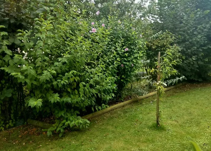 Les Hunaudieres 4 - 4 Lits Doubles *